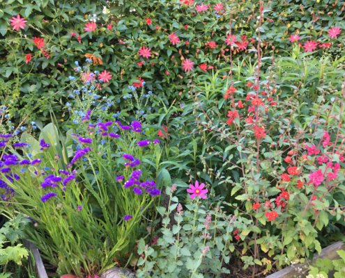servizi giardini