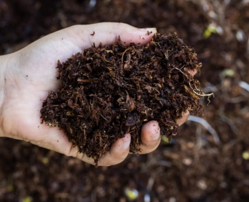 dterminare umidita umidita compost