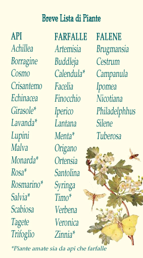 lista piante per impollinatori breve lista di piante per gli impollinatori