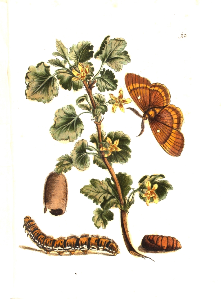 BV009519002_0051
