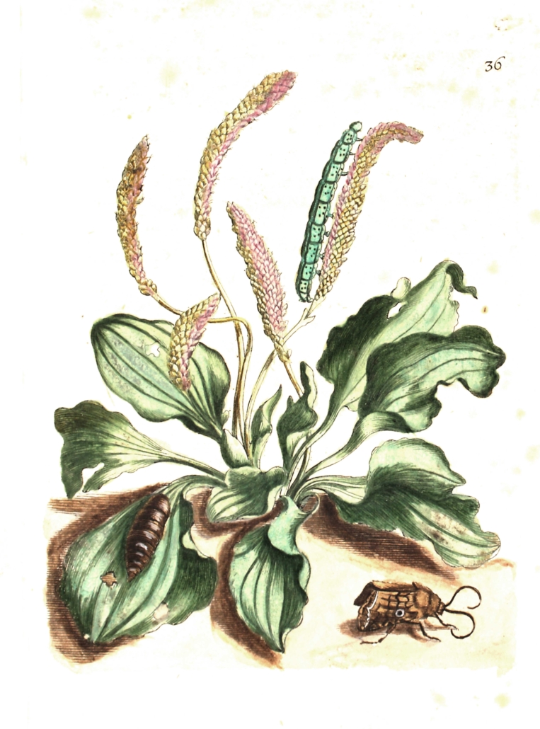 BV009519002_0155