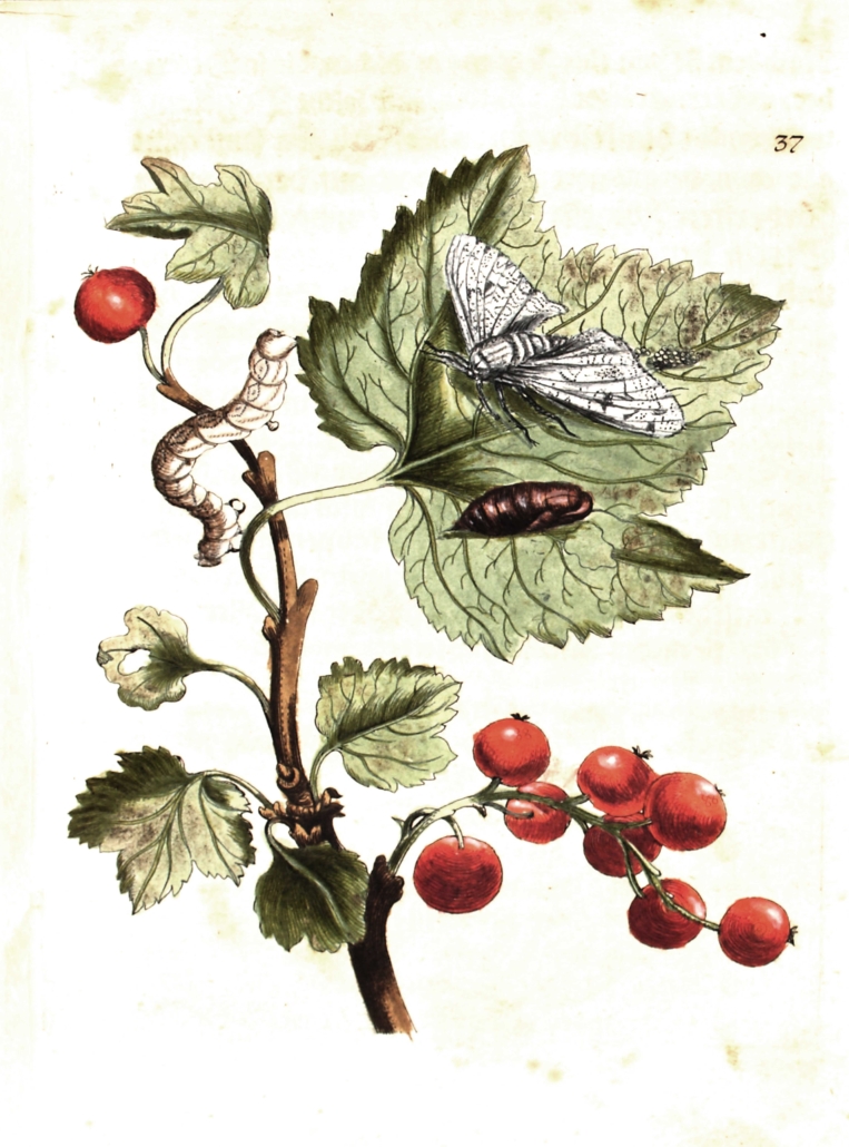 BV009519002_0159