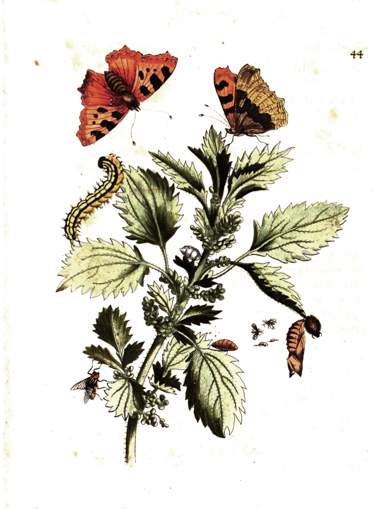 BV009519002_0187