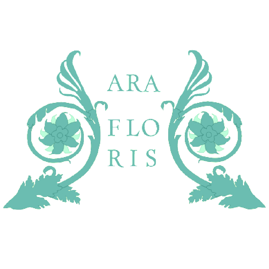 Ara Floris