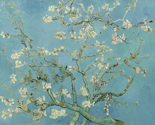 fiori mandorlo van gogh