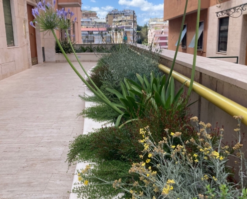 design aiuole roma